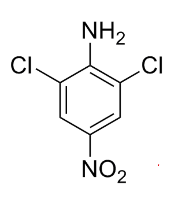 2,6 Dichloro Para Nitro Aniline (2,6 DCPNA)