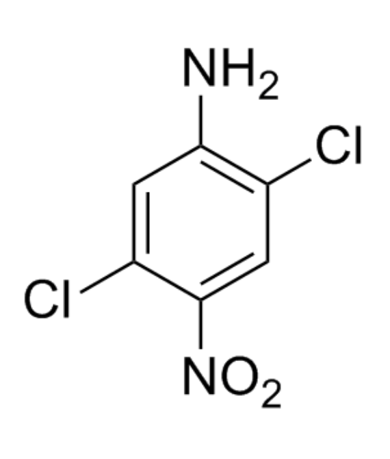 2, 5 Dichloro Para Nitro Aniline (2, 5 DCPNA)