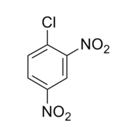 2,4 Dinitro Chloro Benzene (2,4 DNCB)