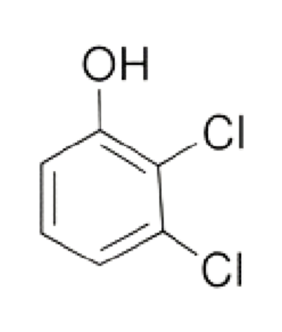 2, 3 Dichloro Phenol (2, 3 DCP)