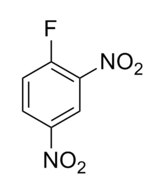2, 4- Di Nitro Fluoro Benzene (2, 4 DNFB)